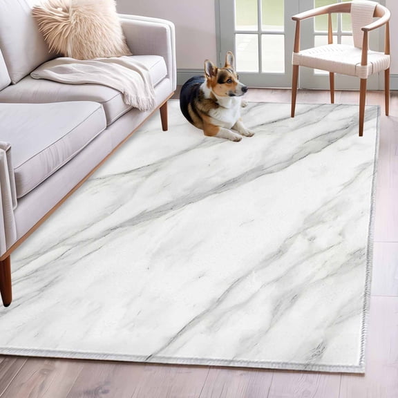 Marble Area Rug 3x5 Washable Rug Non Slip Modern Grey White Rock Monochrome Simple Large Area Rug Indoor Floor Carpet for Entryway Bedroom Kitchen Living Room Home Office Dining Room Nursery