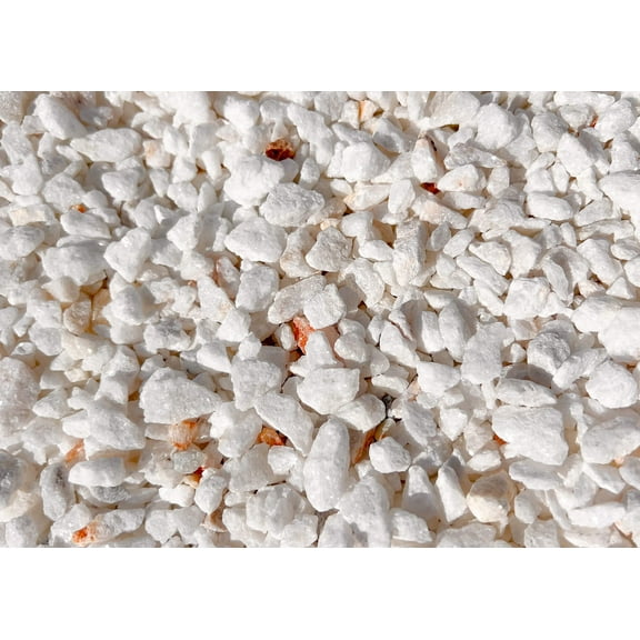 Marble Chips Small Succulent Plant Terrarium Vase Fillers In-Outdoor Decor Size: 10 LBS