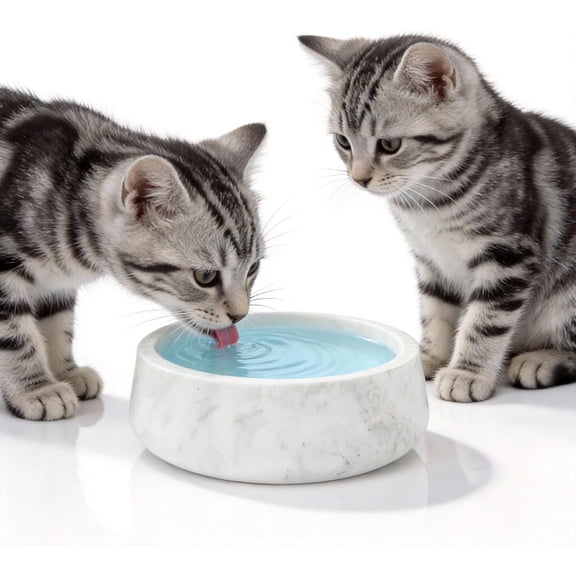 Marble Dog Food and Water Bowl Set, Spill-Proof Pet Dish with Non-Slip Base and Storage Container, for Small and Medium Dogs, Easy-Clean Sturdy Gray Design