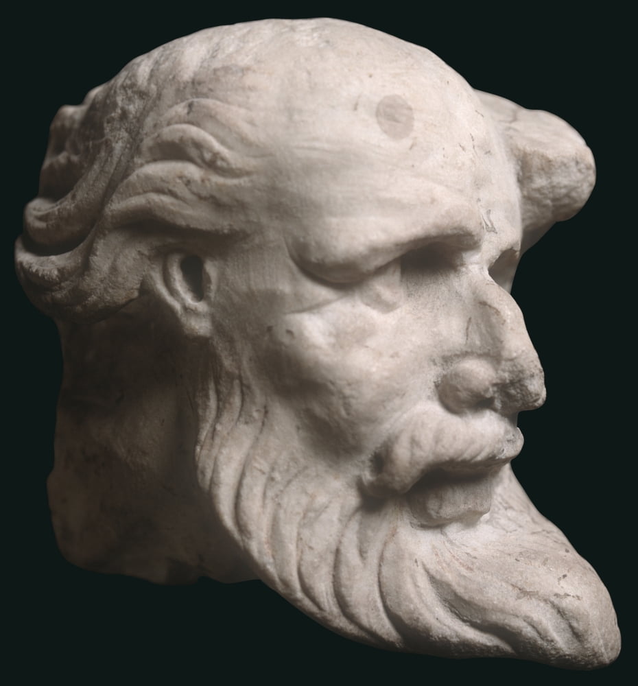 Marble Head Canvas Art - (18 x 24)