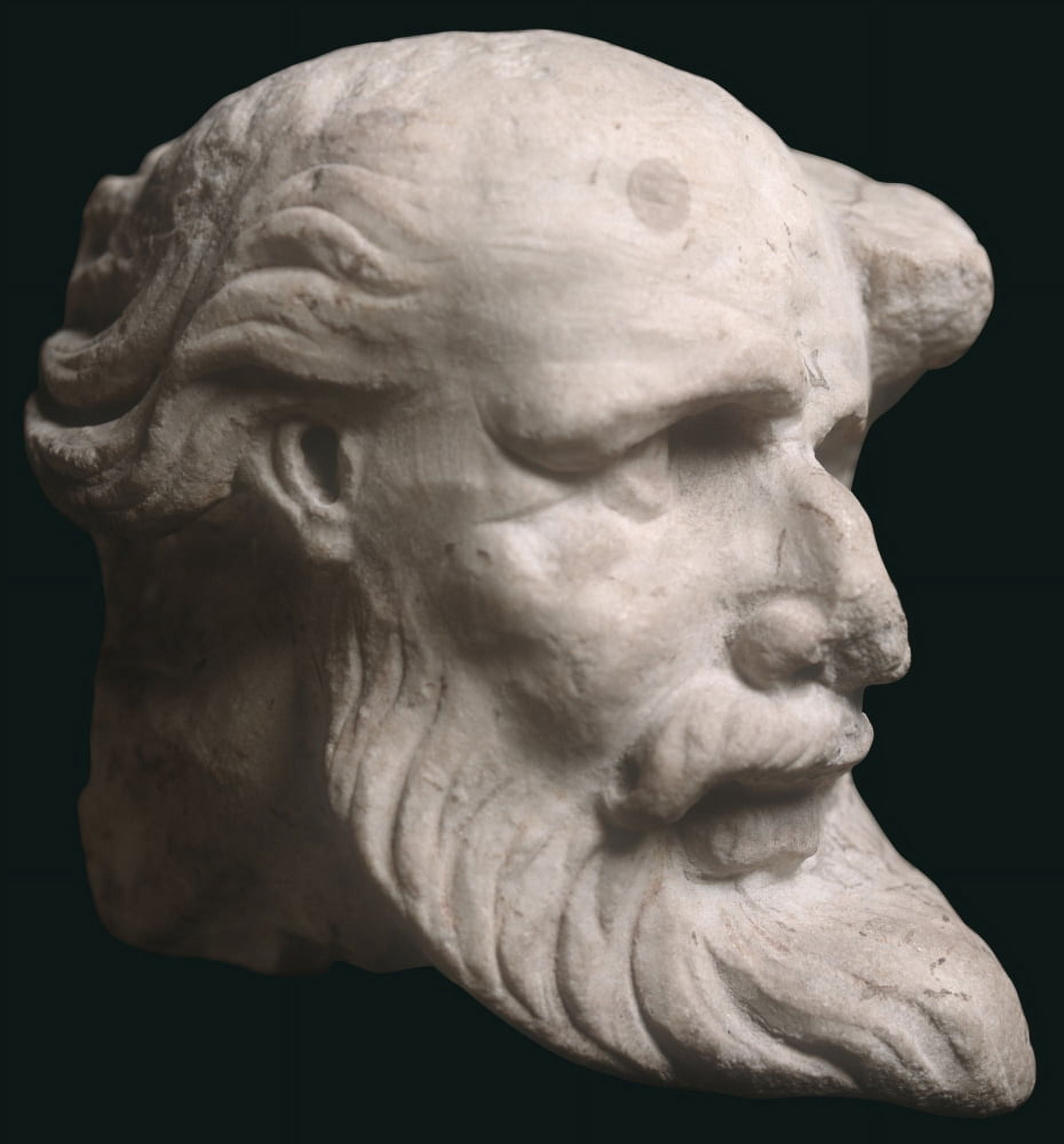 Marble Head Canvas Art - (24 x 36)