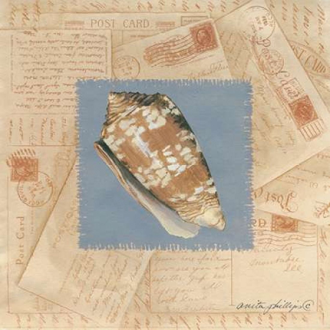 Marbled Cone Canvas Art - Anita Phillips (24 x 24)