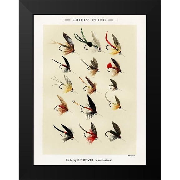 Marbury, Mary Orvis 12x14 Black Modern Framed Museum Art Print Titled - Trout Fishing Flies V from Favorite Flies and Their Histories