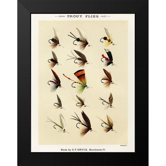 Marbury, Mary Orvis 12x14 Black Modern Framed Museum Art Print Titled - Trout Fishing Flies VIII from Favorite Flies and Their Histories