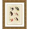 thumbnail image 1 of Marbury, Mary Orvis 12x14 Gold Ornate Wood Framed with Double Matting Museum Art Print Titled - Bass Fishing Flies VIII from Favorite Flies and Their Histories, 1 of 4
