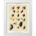 thumbnail image 1 of Marbury, Mary Orvis 12x14 White Modern Wood Framed Museum Art Print Titled - Hackles from Favorite Flies and Their Histories, 1 of 4
