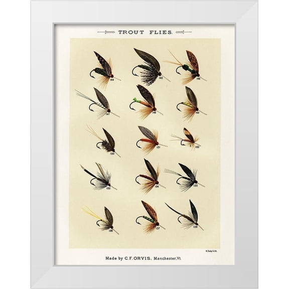 Marbury, Mary Orvis 12x14 White Modern Wood Framed Museum Art Print Titled - Trout Fishing Flies IX from Favorite Flies and Their Histories