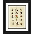 thumbnail image 1 of Marbury, Mary Orvis 15x18 Black Ornate Wood Framed with Double Matting Museum Art Print Titled - Trout Fishing Flies VIII from Favorite Flies and Their Histories, 1 of 4