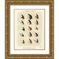 thumbnail image 1 of Marbury, Mary Orvis 25x32 Gold Ornate Wood Framed with Double Matting Museum Art Print Titled - Trout Fishing Flies IX from Favorite Flies and Their Histories, 1 of 4