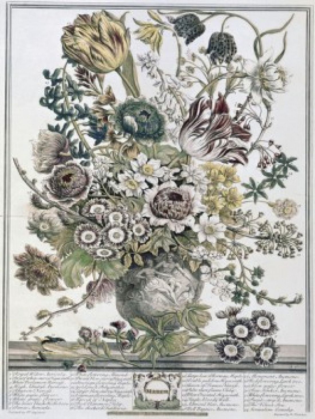 March 1730 H Fletcher (ca18th C British) Lithograph Canvas Art - H Fletcher (18 x 24)