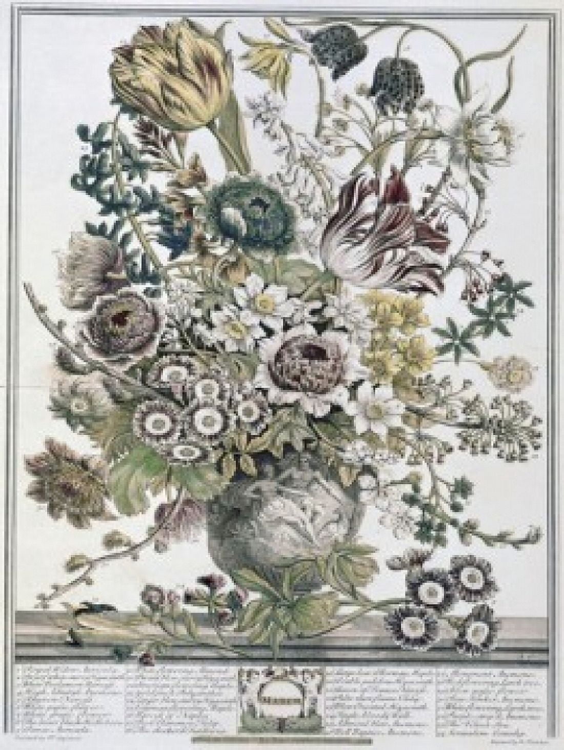 March 1730 H Fletcher (ca18th C British) Lithograph Canvas Art - H Fletcher (24 x 36)
