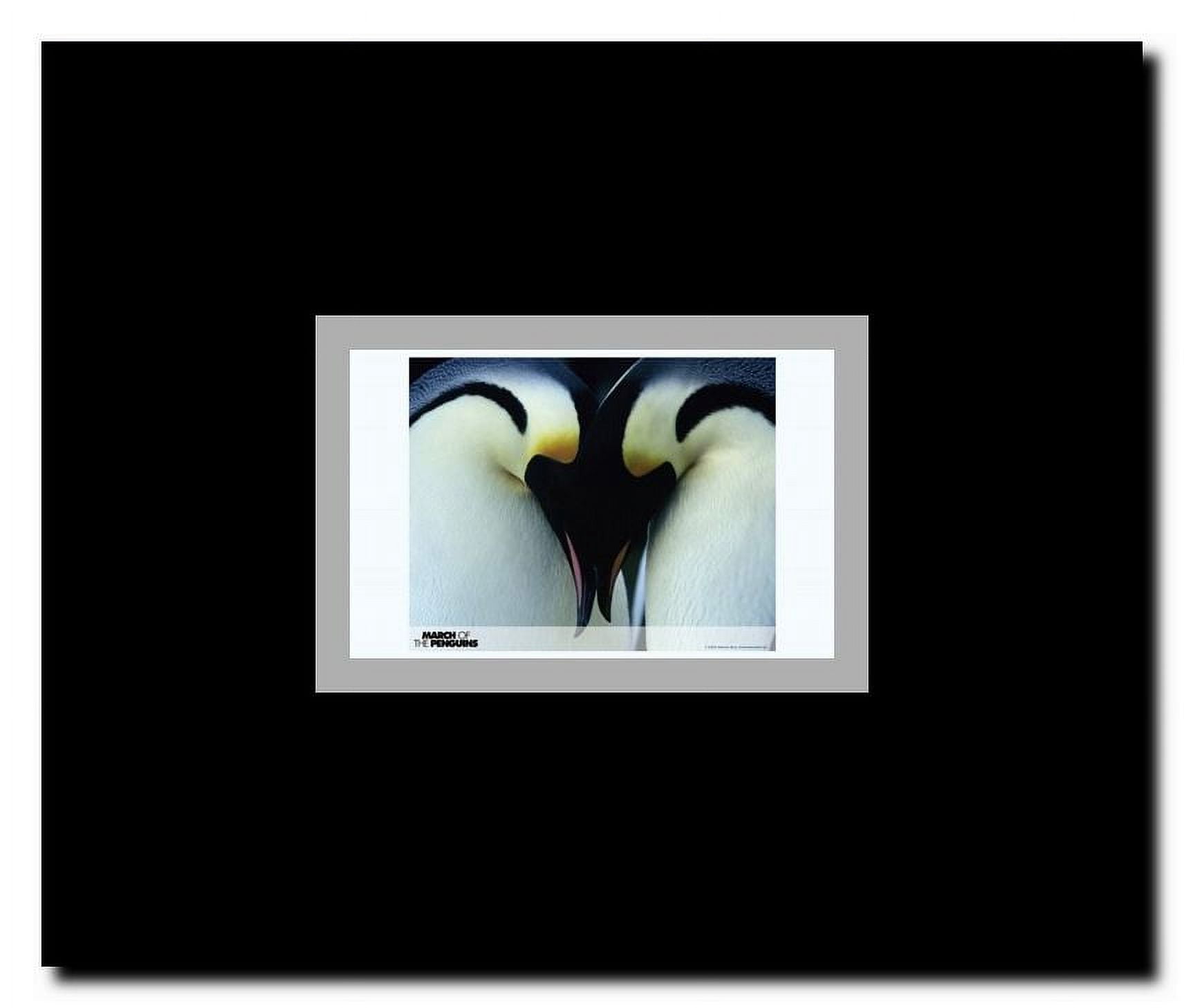 March of the Penguins Framed Movie Poster