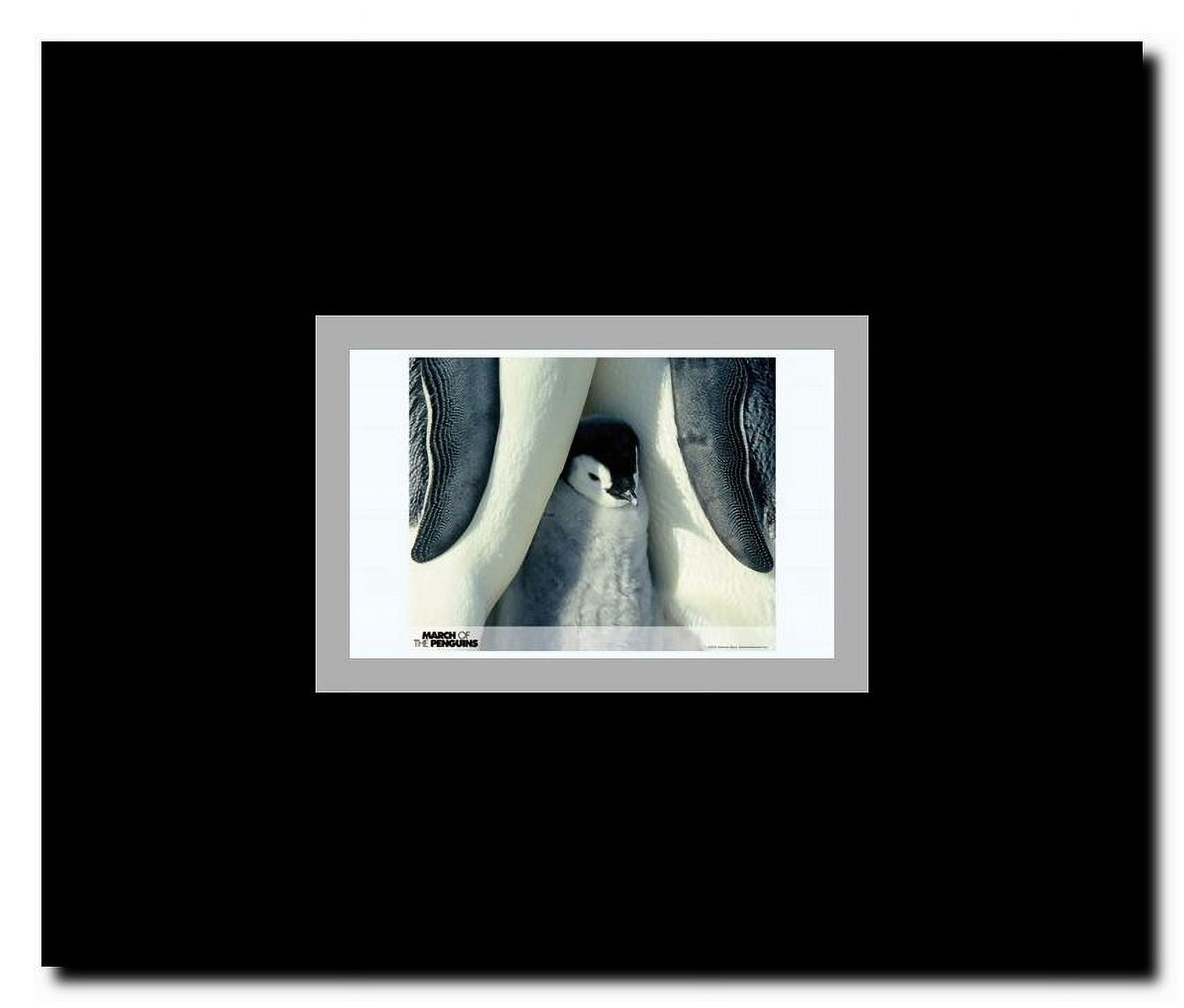 March of the Penguins Framed Movie Poster