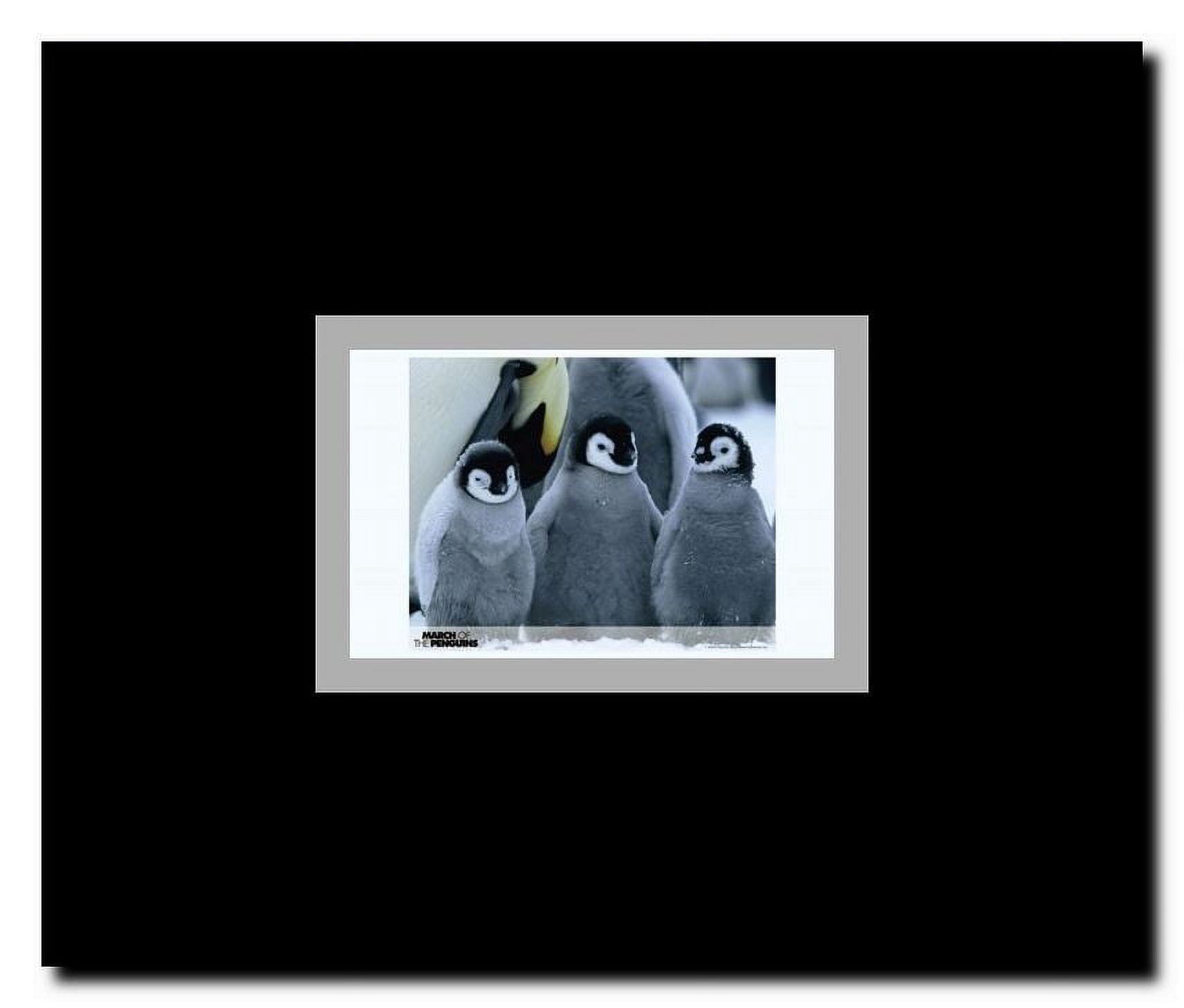 March of the Penguins Framed Movie Poster