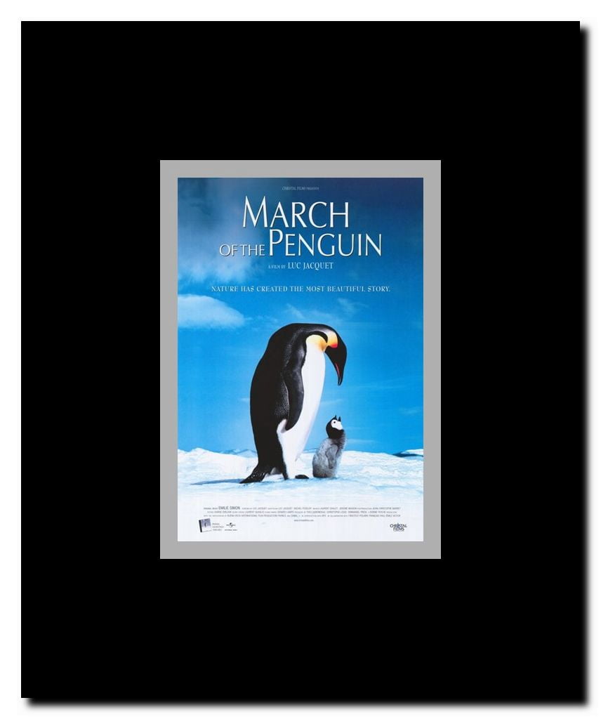 March of the Penguins Framed Movie Poster