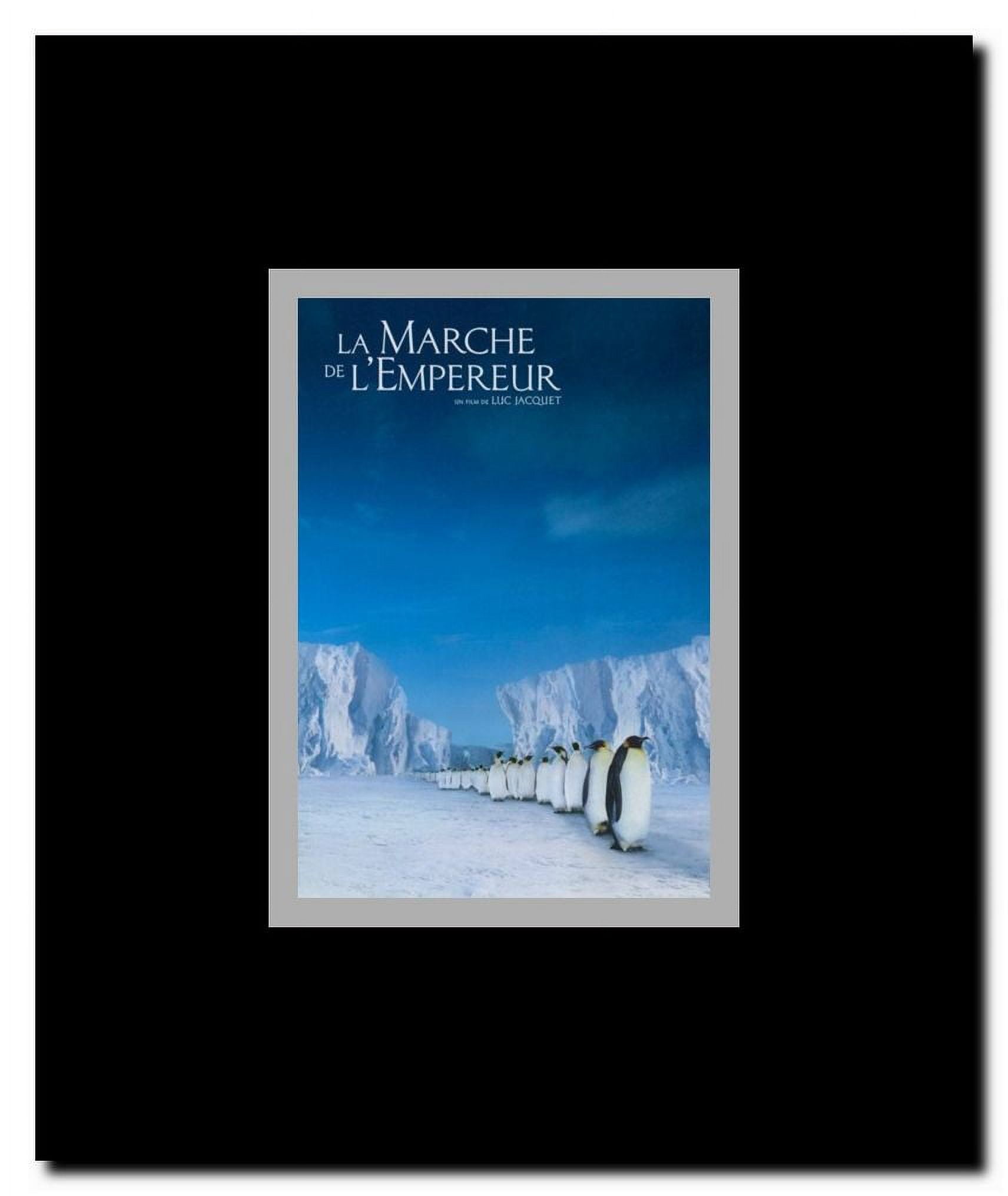 March of the Penguins Framed Movie Poster