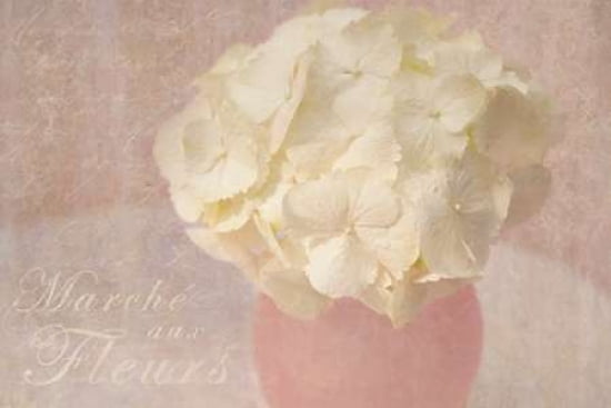 Marche Fleurs Canvas Art - Cora Niele (12 x 18)