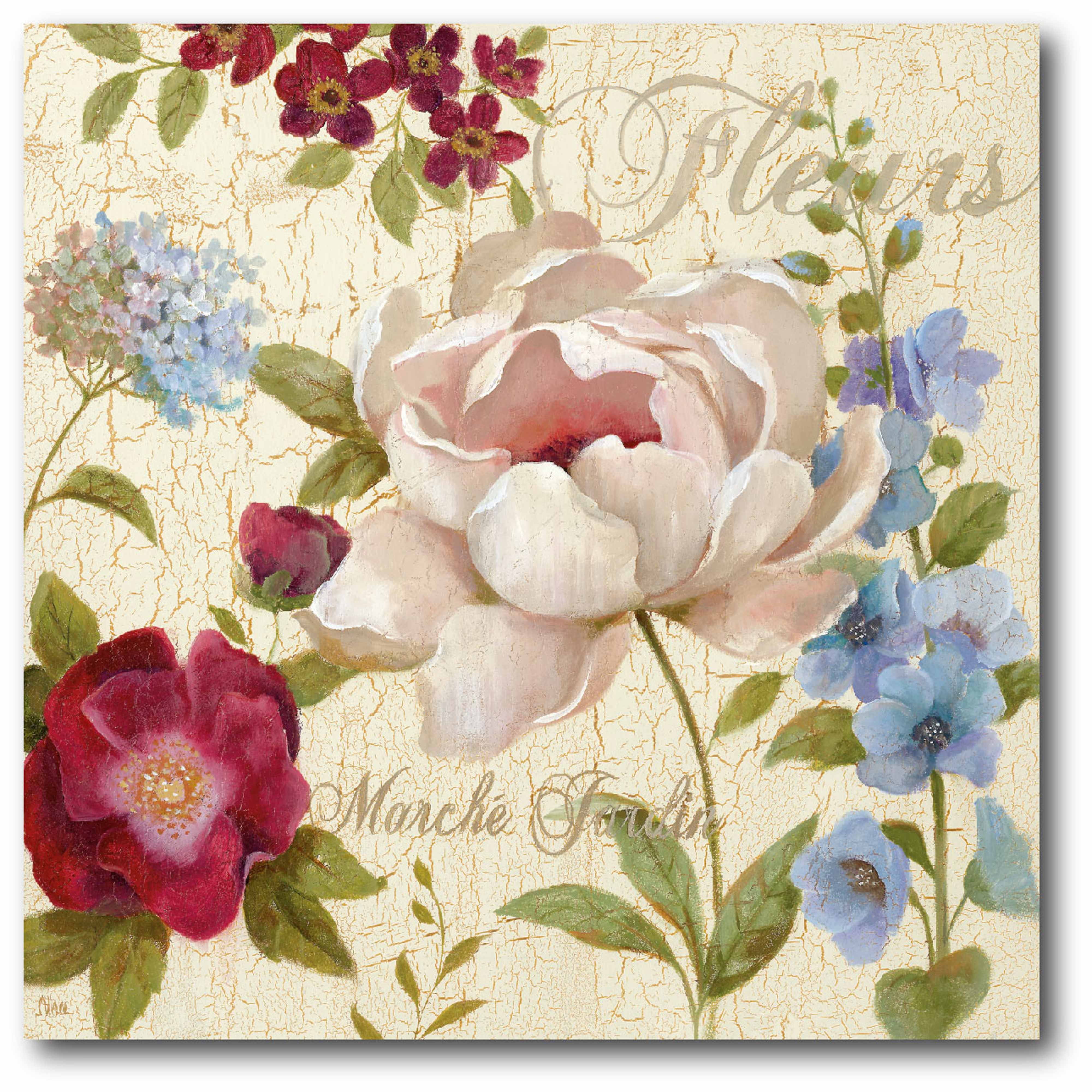 Marche Jardin Gallery-Wrapped Canvas Wall Art, 16x16