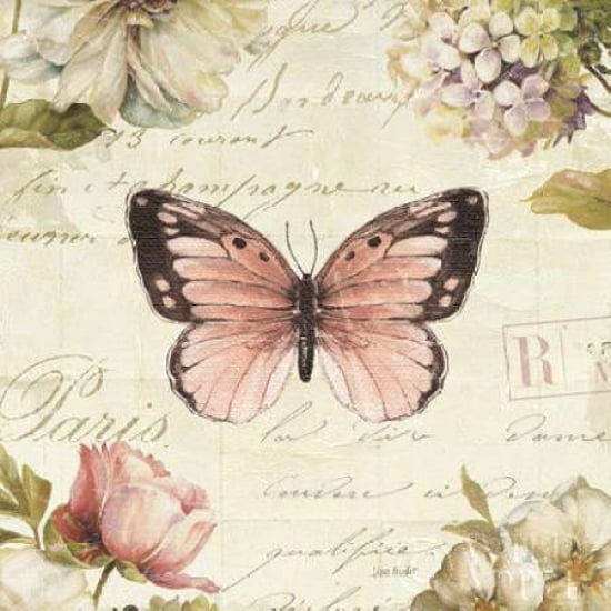 Marche de Fleurs Butterfly I Canvas Art - Lisa Audit (24 x 24)