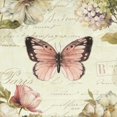 thumbnail image 1 of Marche de Fleurs Butterfly I Poster Print by Lisa Audit, 1 of 1