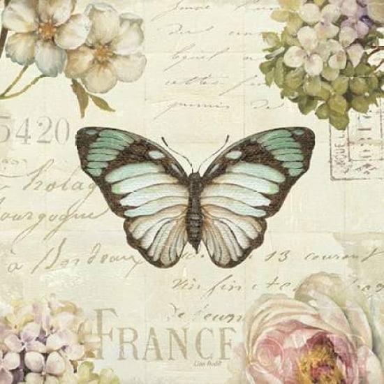 Marche de Fleurs Butterfly II Canvas Art - Lisa Audit (24 x 24)