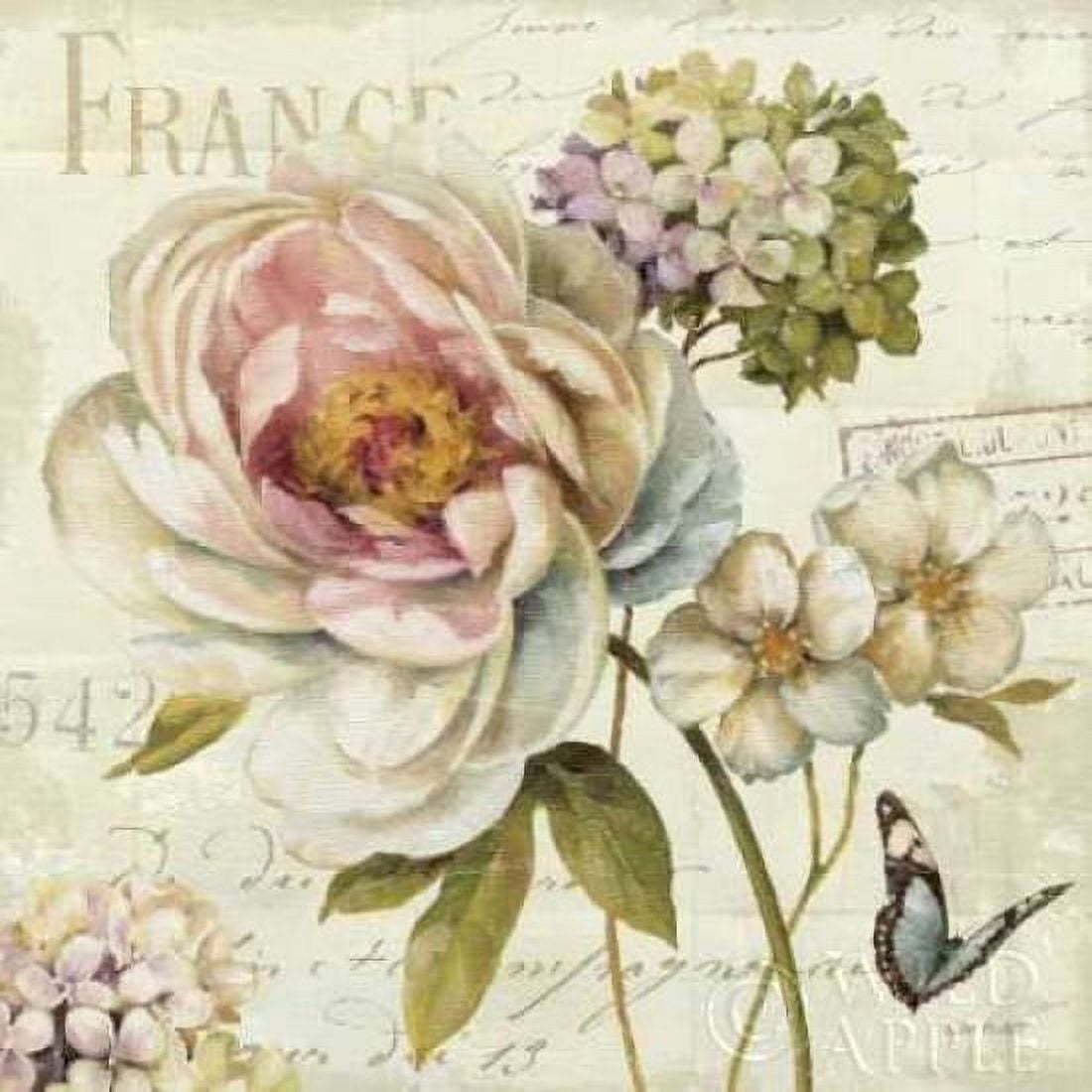 Marche de Fleurs III Canvas Art - Lisa Audit (24 x 24)