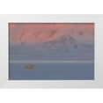 thumbnail image 1 of Marchegiani, Roberto 14x11 White Modern Wood Framed Museum Art Print Titled - Polar Bear, 1 of 4