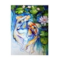 thumbnail image 1 of Trademark Fine Art Marcia Baldwin Koi Koi And Lily Canvas Wall Art - 24x32, 1 of 5