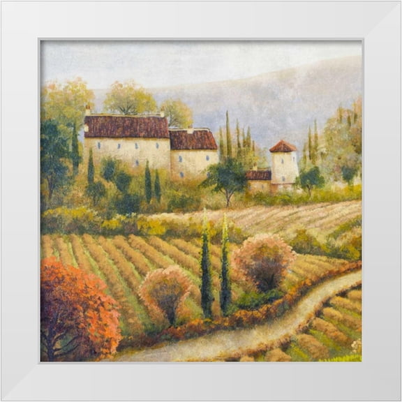 Marcon, Michael 12x12 White Modern Wood Framed Museum Art Print Titled - Tuscany Vineyard I