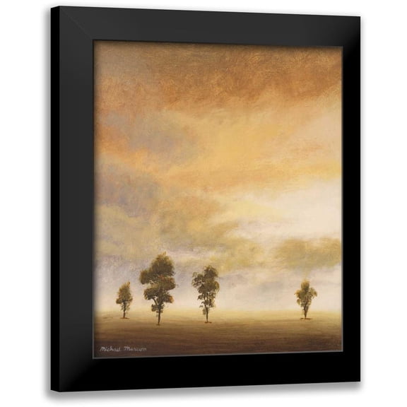Marcon, Michael 12x14 Black Modern Framed Museum Art Print Titled - Open Sky II