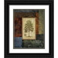 thumbnail image 1 of Marcon, Michael 12x14 Black Ornate Wood Framed with Double Matting Museum Art Print Titled - Eucalyptus Tree I, 1 of 4
