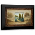 thumbnail image 1 of Marcon, Michael 14x11 Black Modern Framed Museum Art Print Titled - Field Blossom Illusion, 1 of 5