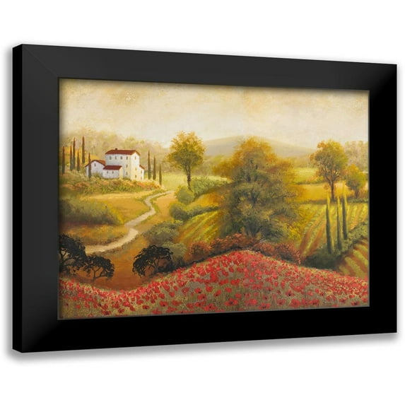 Marcon, Michael 14x12 Black Modern Framed Museum Art Print Titled - Flourishing Vineyard I