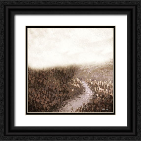 Marcon, Michael 20x20 Black Ornate Wood Framed with Double Matting Museum Art Print Titled - Field Blossom Illusion Abstract