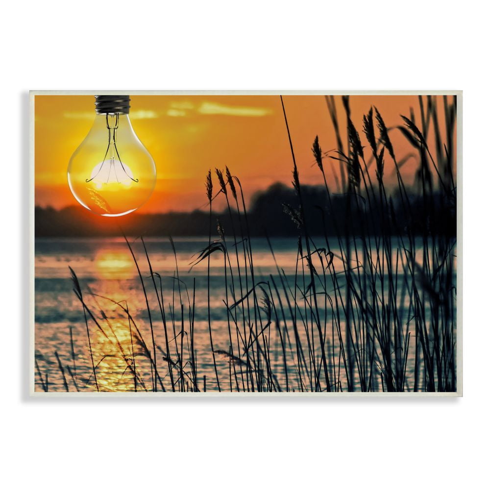 Marcus Prime Lightbulb Sun Lake Reeds 15 in x 10 in Framed Photography Photographic Wall Art, by Stupell Home Décor