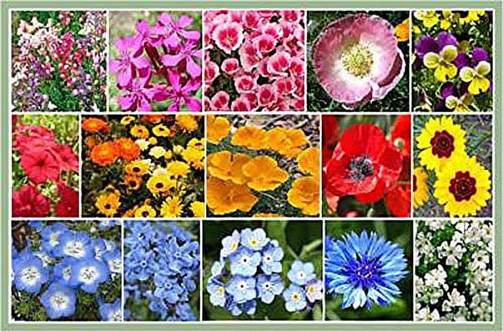 Marde Ross & Company