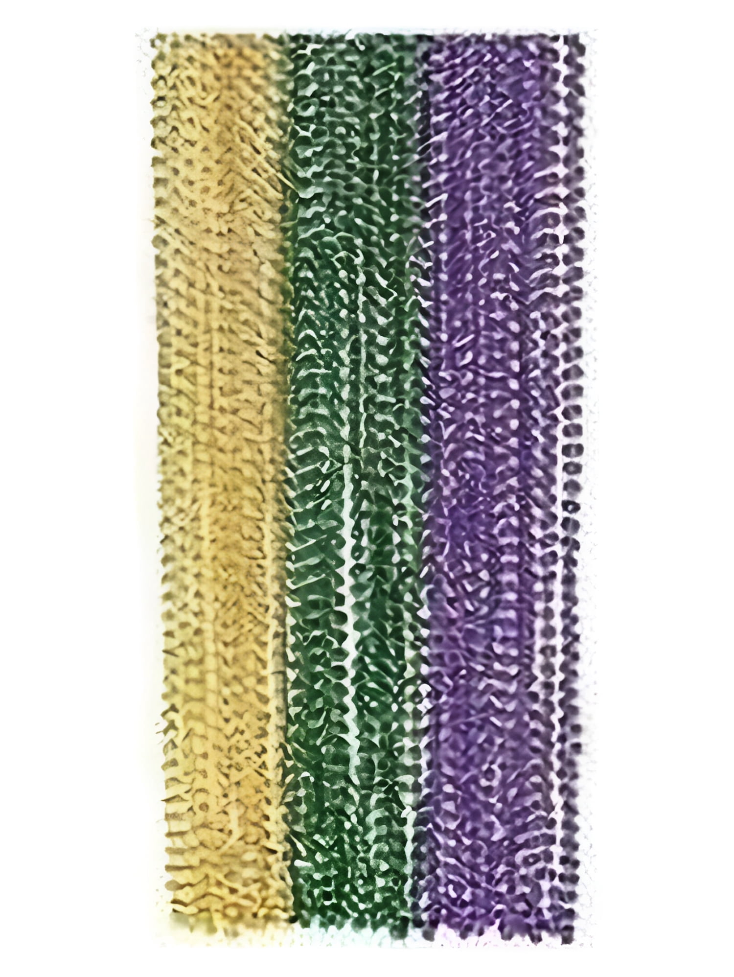Mardi Gras Beads (4Dz)" - Jewelry - 48 Pieces
