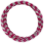 Mardi Gras Spot 24" Hula Hoop - Pink and Silver Glitter Dozen