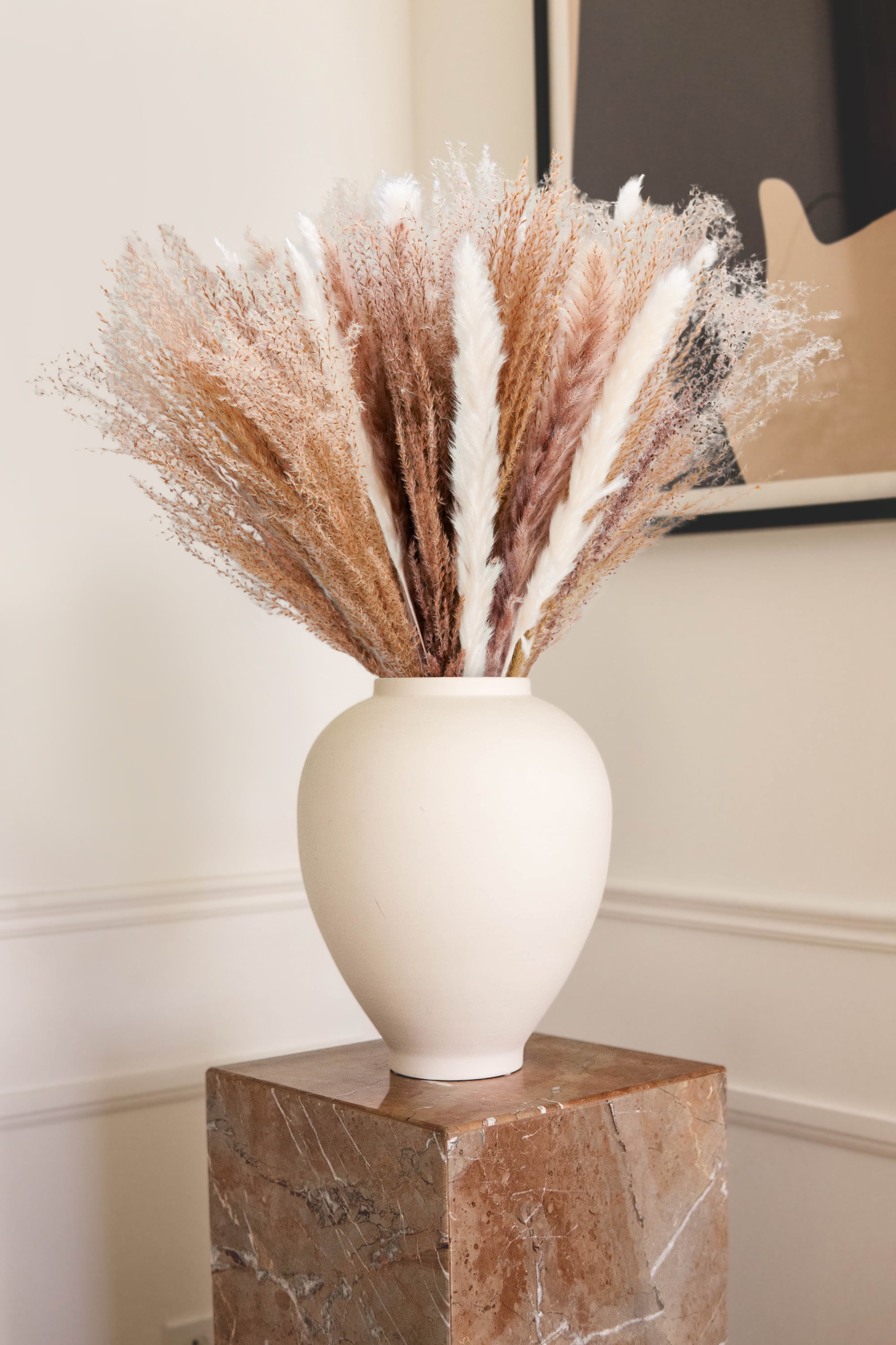 Mardonyx Premium 65 Pcs Pampas Grass, 18 Pcs White Pampas & 16 Pcs Brown Pampas & 31 Pcs Reed Grass Comes with Bouquet Wrap & Box/Natural Dried Pampas Grass for Flower Arrangements Home Decor