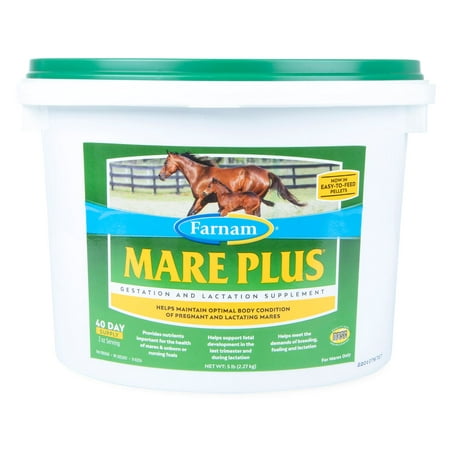 Mare Plus Gestation and Lactation Supplement, 5 lb