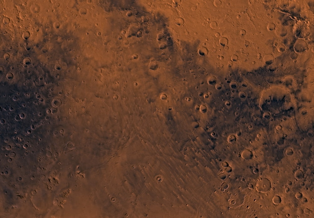 Mare Tyrrhenum region of Mars Canvas Art - Stocktrek Images (34 x 24)