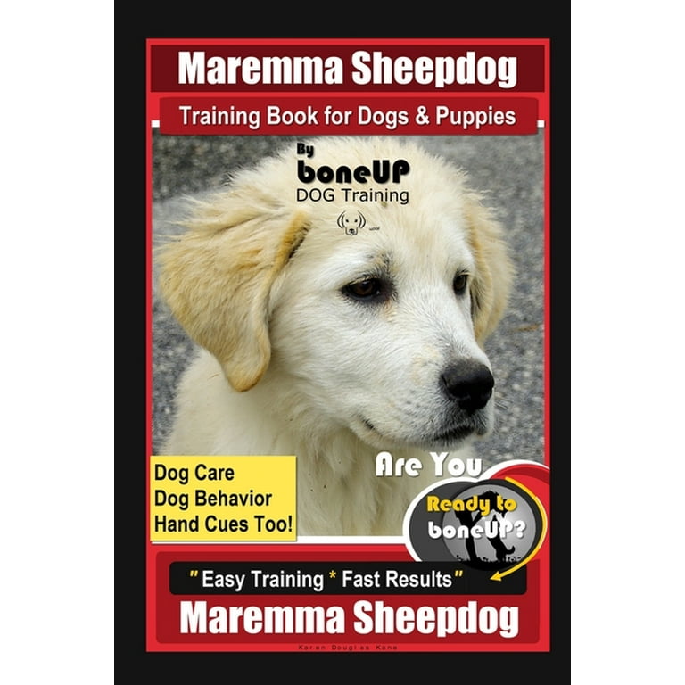 Maremma sheepdog sale training