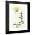 thumbnail image 1 of Margaret Armstrong 10x14 Black Modern Framed Museum Art Print Titled - Cut-Leaved Balsam-Root (1915), 1 of 5