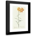 thumbnail image 1 of Margaret Armstrong 11x18 Black Modern Framed Museum Art Print Titled - Western Wallflower (1915), 1 of 5