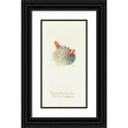 thumbnail image 1 of Margaret Armstrong 11x18 Black Ornate Wood Framed Double Matted Museum Art Print Titled - Pincushion Cactus (1915), 1 of 5