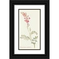 thumbnail image 1 of Margaret Armstrong 15x24 Black Ornate Framed Double Matted Museum Art Print Titled: Hedysarum Pabulis (1915), 1 of 5
