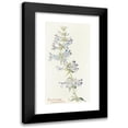 thumbnail image 1 of Margaret Armstrong 9x14 Black Modern Framed Museum Art Print Titled - Penstemon Cyananthus (1915), 1 of 5