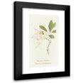 thumbnail image 1 of Margaret Armstrong 9x14 Black Modern Framed Museum Art Print Titled - Western Azalea (1915), 1 of 5