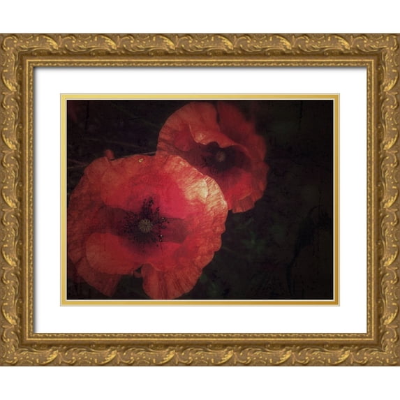 Margau, Delphine 18x15 Gold Ornate Wood Framed with Double Matting Museum Art Print Titled - Blood thirsty Poppies