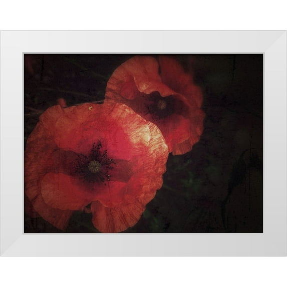 Margau, Delphine 24x19 White Modern Wood Framed Museum Art Print Titled - Blood thirsty Poppies